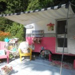 PinkShasta3